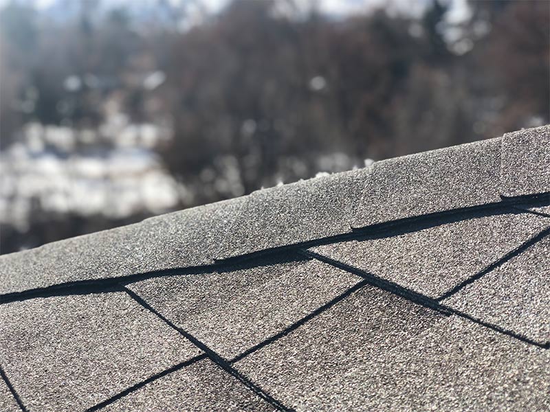 upclose of gray roof shingles fort collins co
