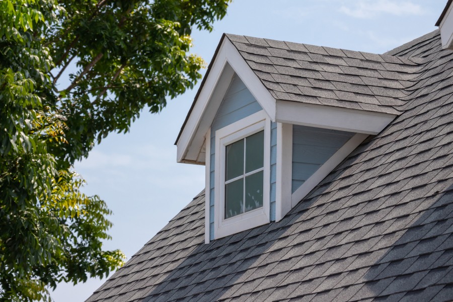 newly installed shingle roof and window fort collins co